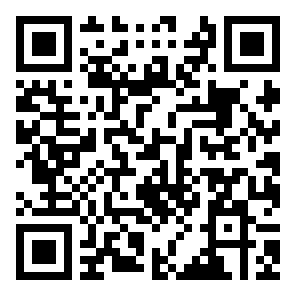 QR code for an example TruDat Election vote